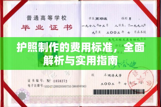 龙陵护照制作的费用标准，全面解析与实用指南